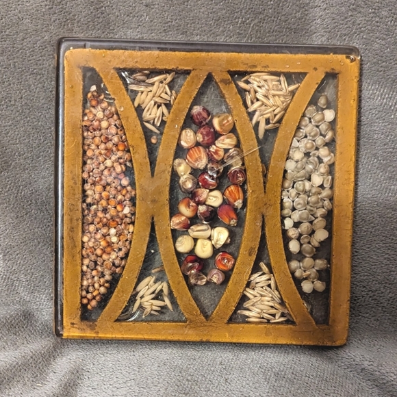 Vintage Acrylic Hot PlateTrivet with Inlayed seeds by GAMUT DESIGNS - Picture 3 of 5